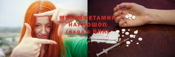 индика Весьегонск