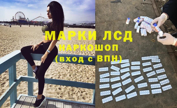 ПСИЛОЦИБИНОВЫЕ ГРИБЫ Дмитриев
