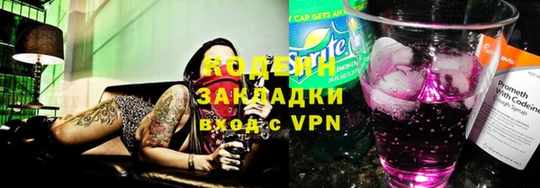 ПСИЛОЦИБИНОВЫЕ ГРИБЫ Дмитриев
